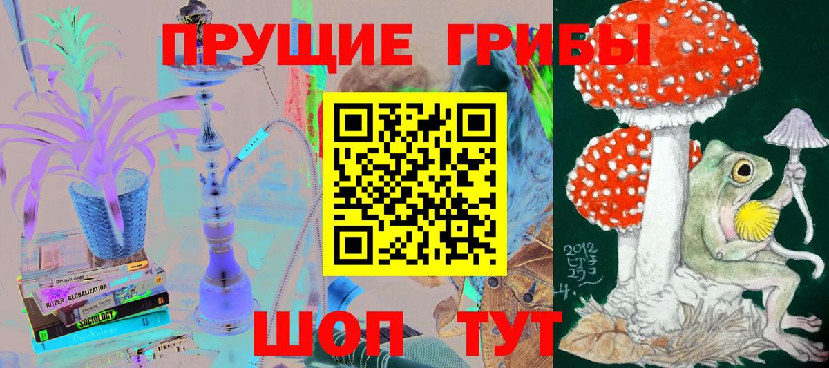Псилоцибиновые грибы мухоморы Нальчик