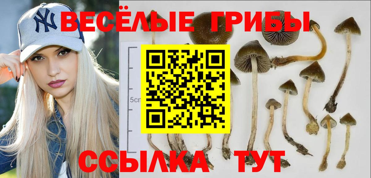 Псилоцибиновые грибы мицелий  Вход с VPN  Галлюциногенные грибы ЛСД  Нальчик 